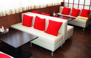 Revisió de mobles entapissats a restaurants, cafeteries i bars, normes de selecció
