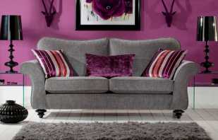 The use of a gray sofa in the interior, combination options