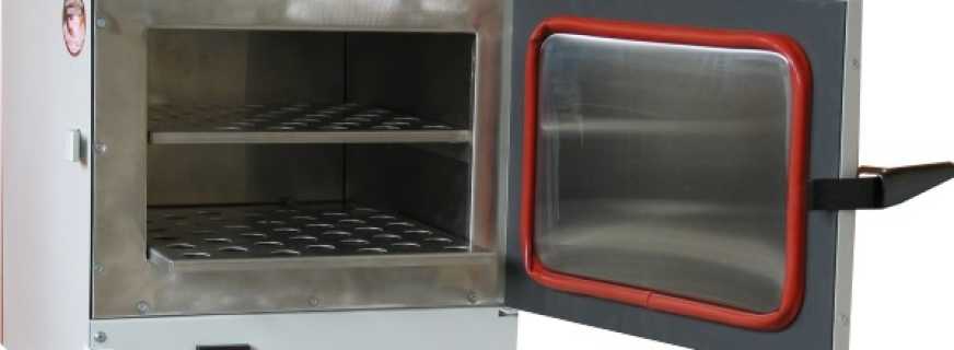 ¿Qué hornos de secado de laboratorio existen y sus características?