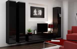 La scelta di mobili lucidi nel soggiorno, i vantaggi di tali disegni