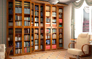 Επιλογές για βιβλιοθήκες με γυάλινες πόρτες και τα χαρακτηριστικά τους