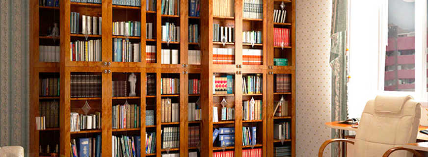 Optionen für Bücherregale mit Glastüren und ihre Eigenschaften