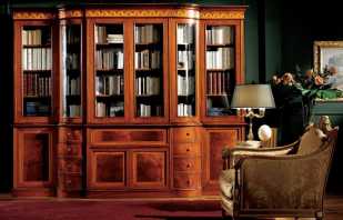 Kenmerken van massief houten boekenkasten, voor- en nadelen