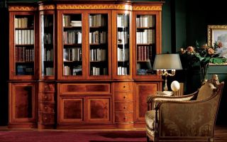 Caractéristiques des bibliothèques, avantages et inconvénients en bois massif