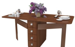What can be tables tables for the kitchen, the nuances of selection