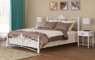 Divvietīgas metāla gultas īpašības, izvēles kritēriji