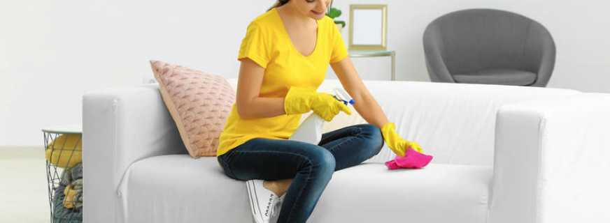Hur du snabbt och effektivt rengör en soffa hemma, tips