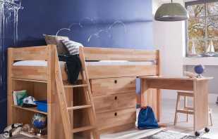 Sadrži potkrovlje kreveta s radnim prostorom, popularne opcije