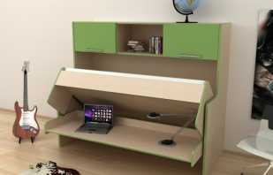 Optionen für die Umwandlung von Möbeln in eine kleine Wohnung und deren Ausstattung