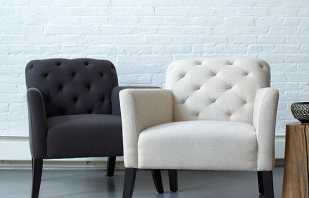 Una variedad de tipos de sillas, su elección, teniendo en cuenta el propósito y el diseño.