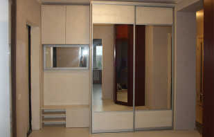نظرة عامة على خزانات مع مرآة لقاعة المدخل ، وقواعد الاختيار