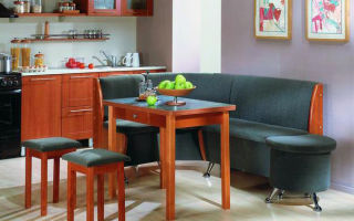 Hogyan válasszuk ki a kárpitozott bútorokat a konyhában, a modellek áttekintése