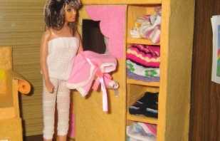 Machen Sie einen Schrank für Barbie, wie man es selbst macht