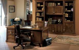 Bir ofis için bir daire için mobilya seçenekleri, popüler setlere genel bakış