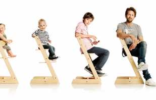 The advantages of using growing chairs, popular models