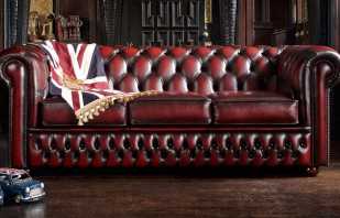 Varietà di divani Chester, le loro caratteristiche, i vantaggi
