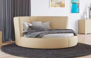 What are round sofa beds, their pros and cons