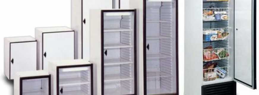 Features of freezers, their pros and cons