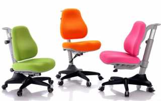 Varieties of chairs for students, the basic requirements for them