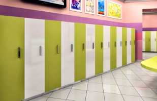 Features of lockers for kindergartens, the nuances of choice